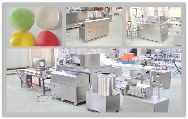 Stainless Steel Automatic Prawn Cracker Making Machine| Shrimp Cracker Maker 